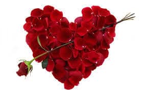 heart made fo roses